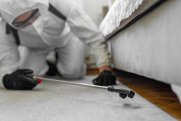 Professional Bed Bug Control technician working in Fuquay-Varina, NC