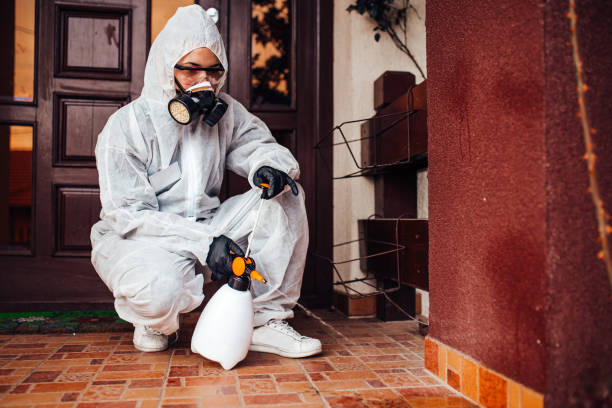 Reliable Bed Bug Control contractor in Fuquay-Varina, NC by Nex Pest Control