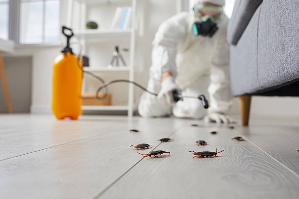 Trusted Termite Control service in Fuquay-Varina, NC - Nex Pest Control